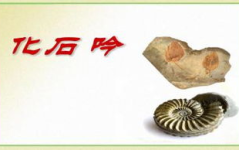 化石吟ppt,化石吟的科学诗篇