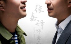 生逢灿烂的日子电视剧免费观看,重温岁月流转中的青春记忆