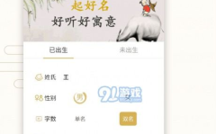 取姓名网,取姓名网带你探索个性与命运的交织