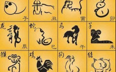 12生肖排序,揭秘十二生肖的神秘魅力与排列顺序