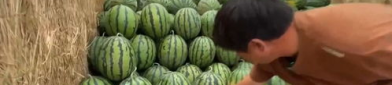 吃瓜网中,吃瓜网带你领略明星幕后故事