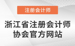 浙江省注册会计师协会,浙江省注册会计师协会发展历程与成就概述