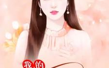 我的老婆是冰山女总裁新笔趣阁,我的暖男逆袭之路