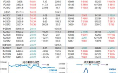 股指期货持仓查询,掌握市场动态，优化投资策略