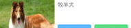 狗叫声大全娱乐,趣味解读狗狗的“语言世界”