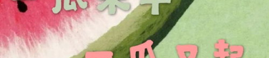 娱乐吃瓜君 刘二豆,从萌宠网红到人气爆棚，揭秘“会说话的猫咪”背后的故事
