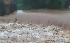 周公解梦梦见发洪水,洪水梦境的寓意与启示