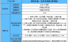 中国人寿险种,保障与投资两不误